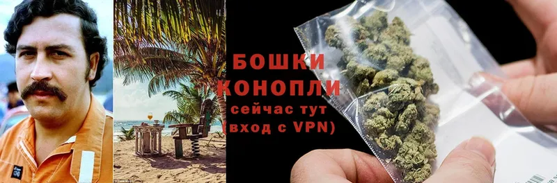 закладка  Чехов  Бошки марихуана LSD WEED 